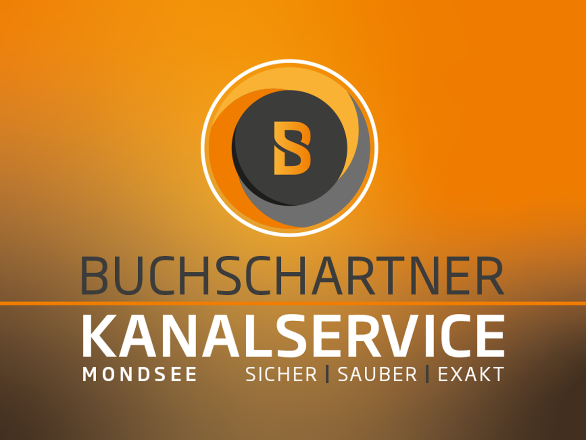 BS Logo