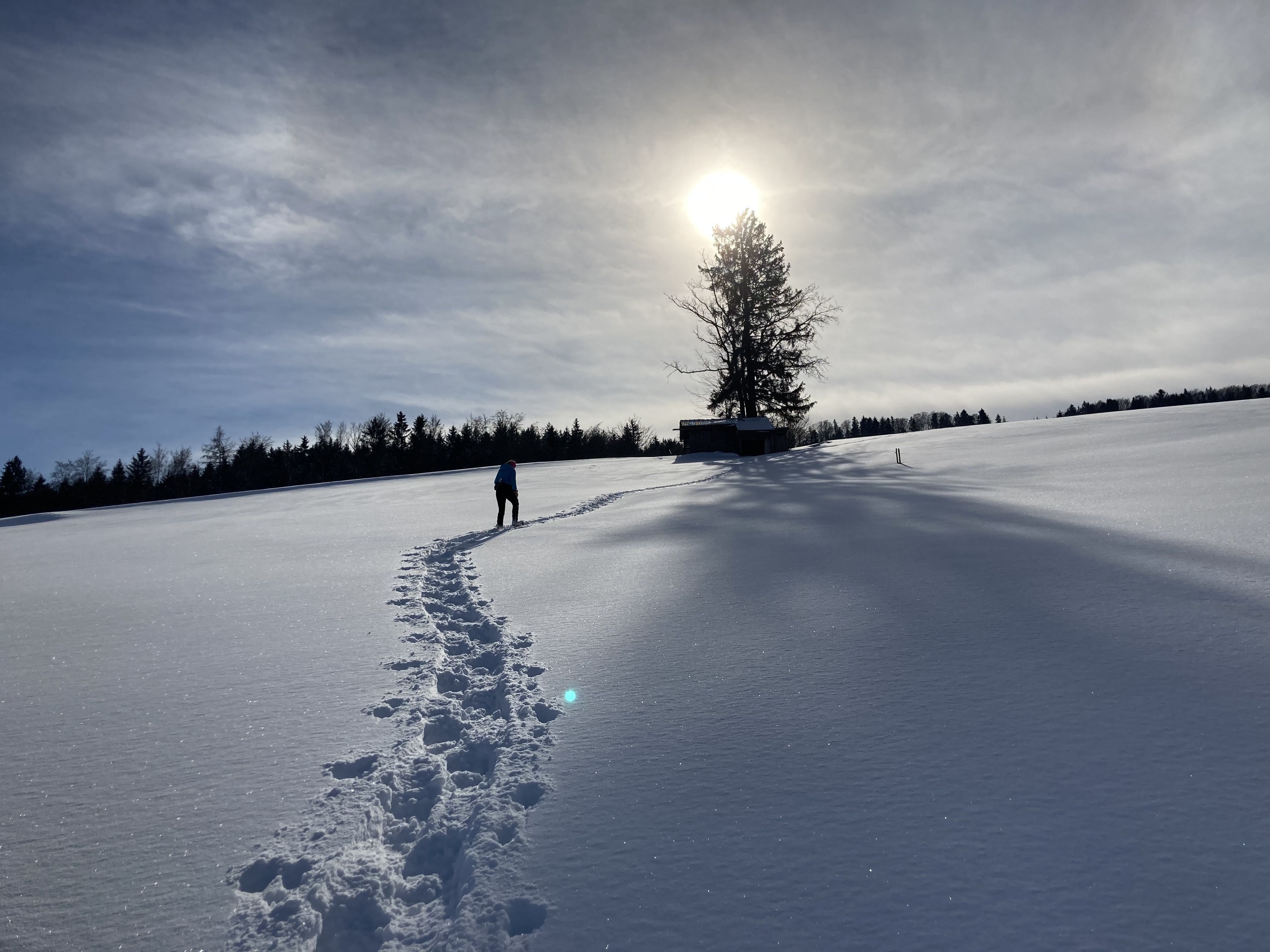Kostenloses Schneeschuhwandern mit dem Kneipp Aktiv Club Thalgau